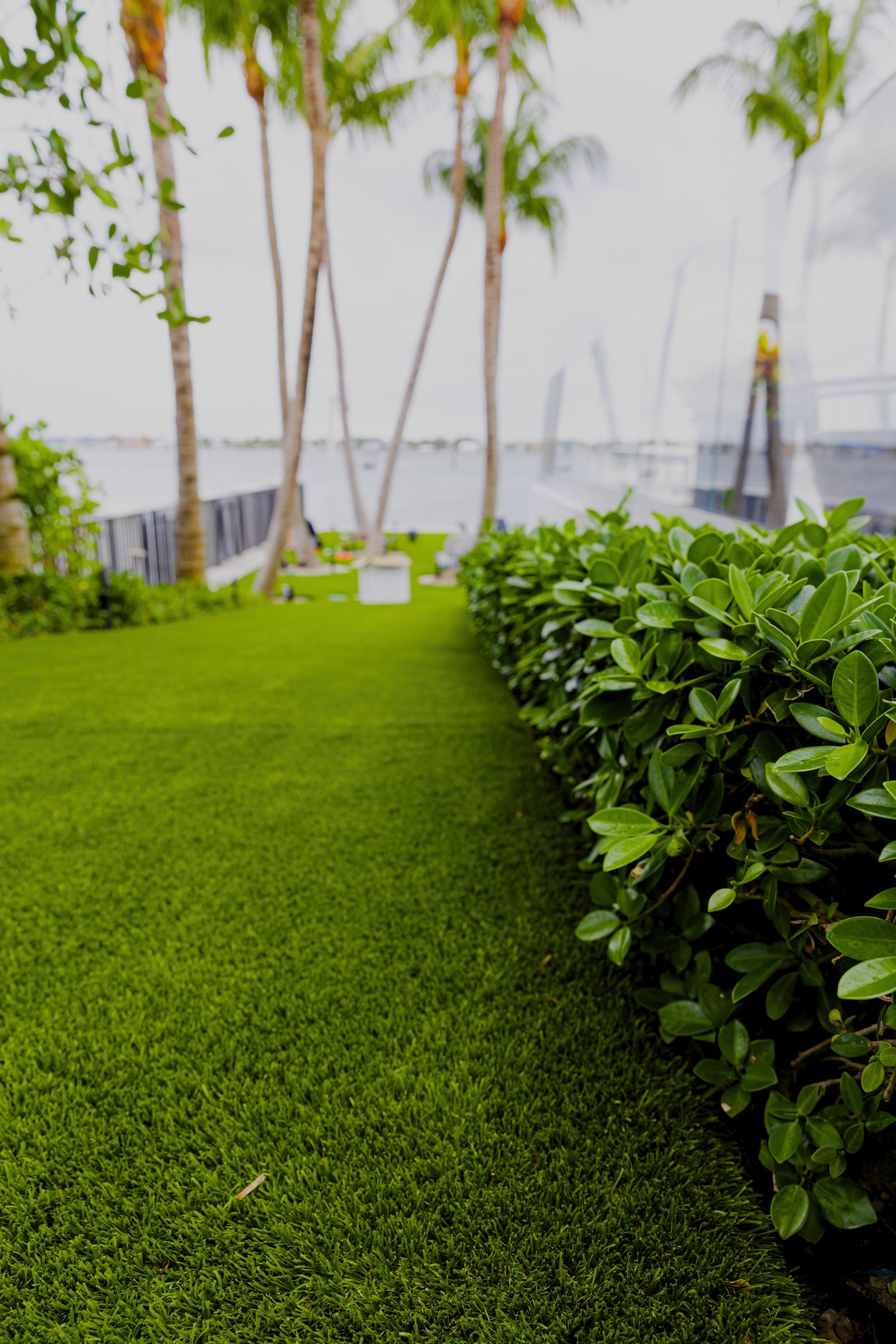 Pathway lined with green grass and bushes, leading towards a waterfront with palm trees.