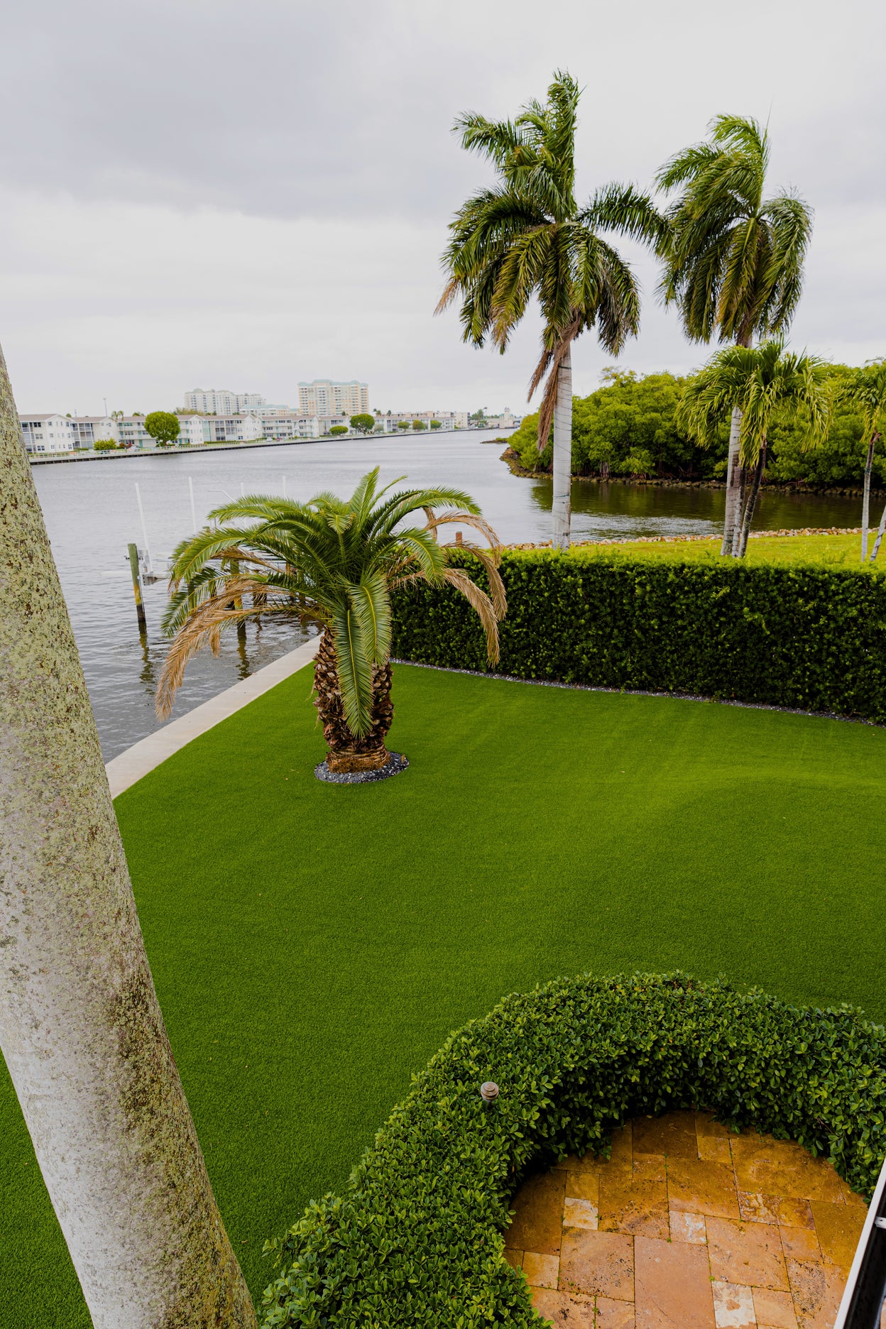 Palm trees and a waterfront view from a garden with manicured grass.
