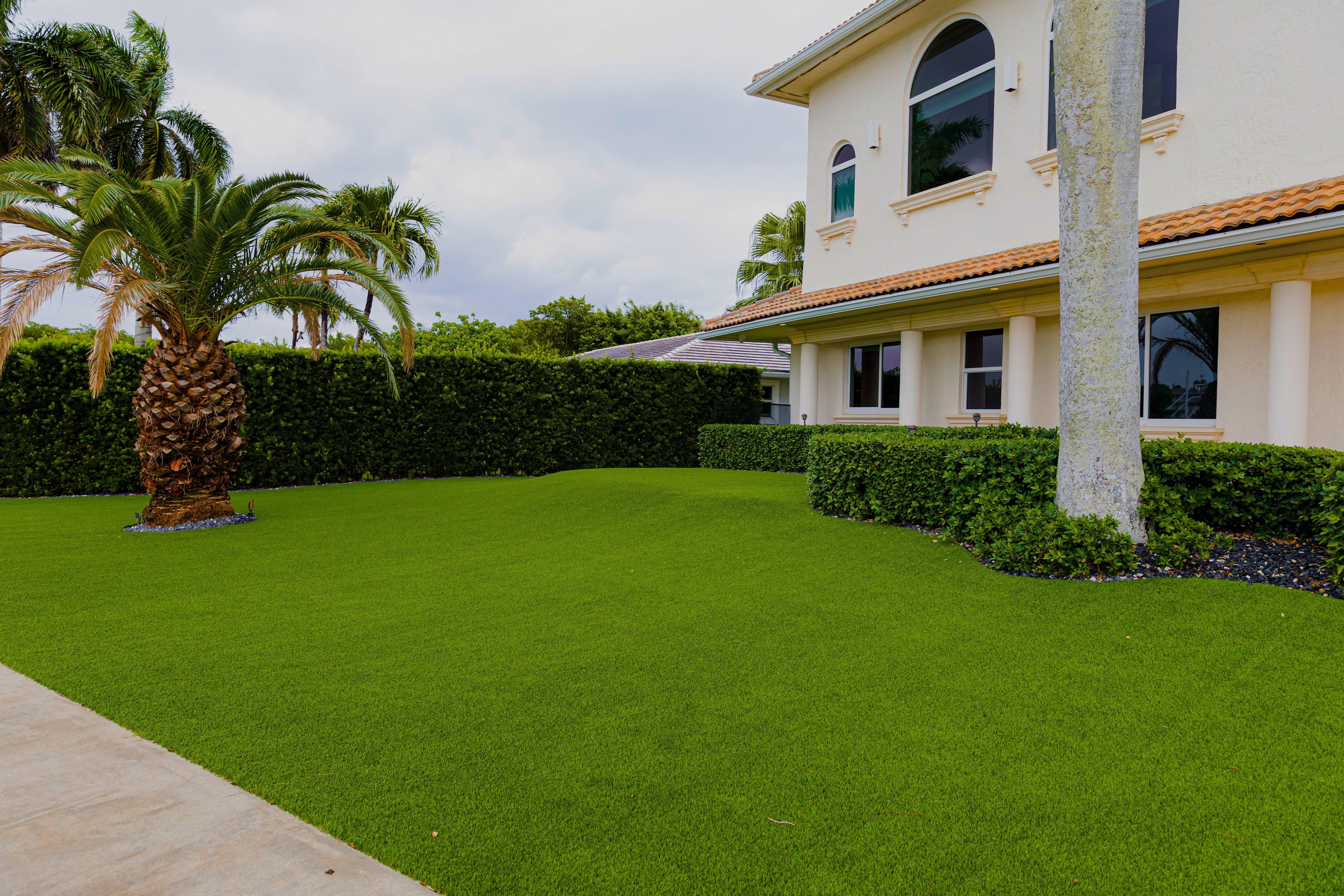 Lush green lawn with a house and palm trees in the background