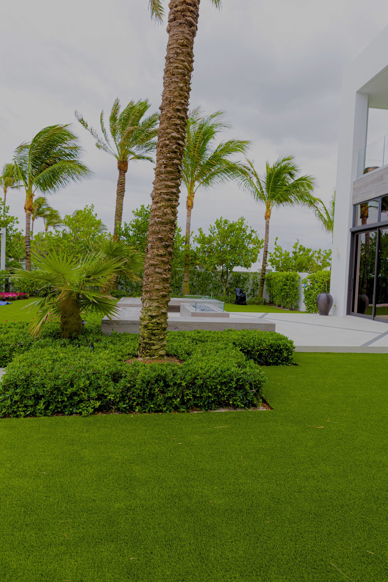 Lush green garden with palm trees and a modern building in the background