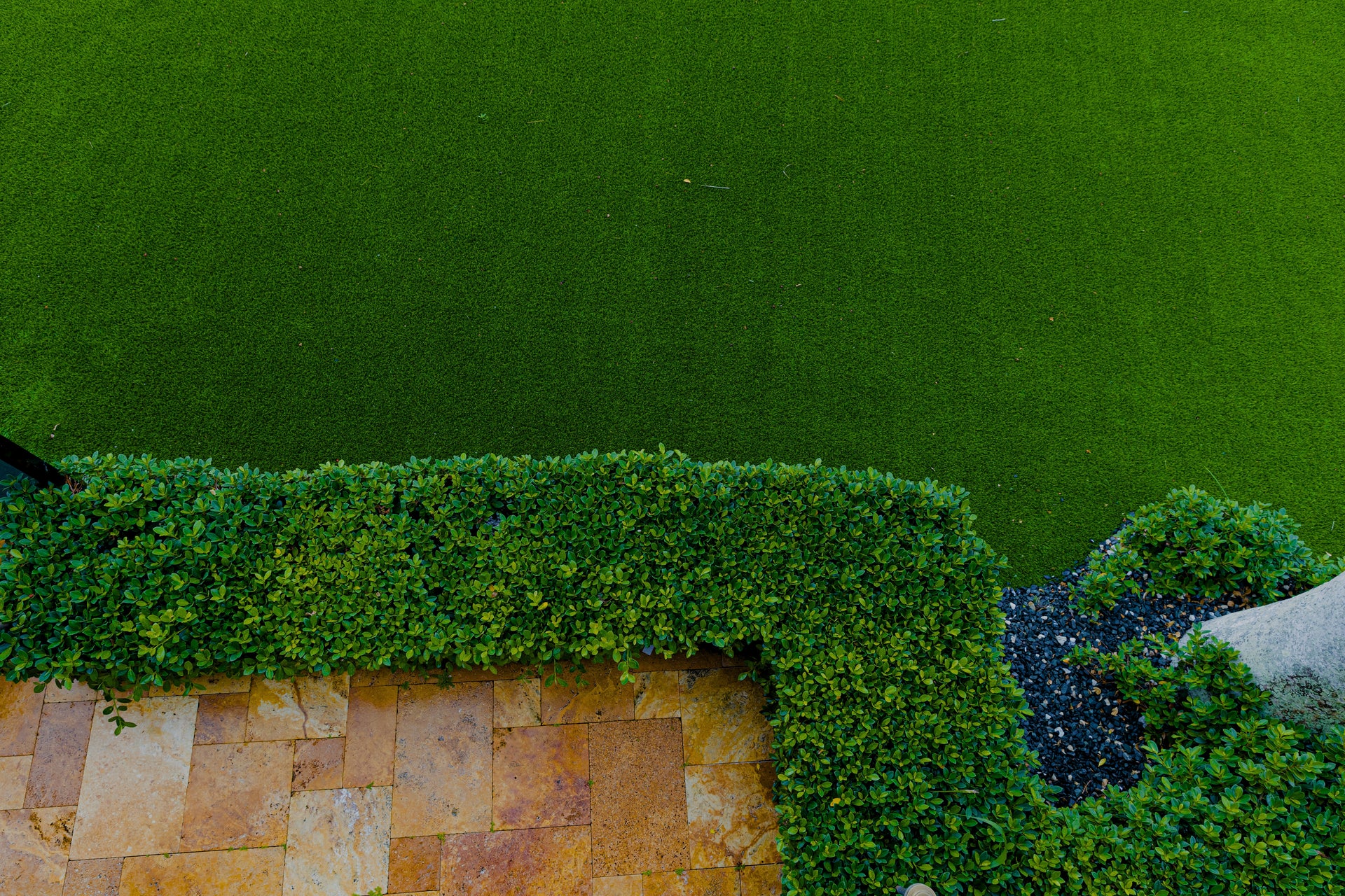 Green hedge along a stone pathway